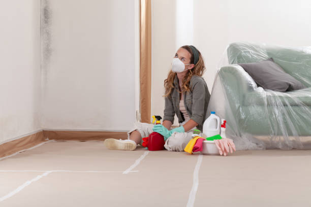Reliable Mold Removal contractor in Washington, VA by WQB Mold Removal